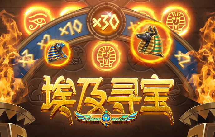 金年华体育平台官网入口